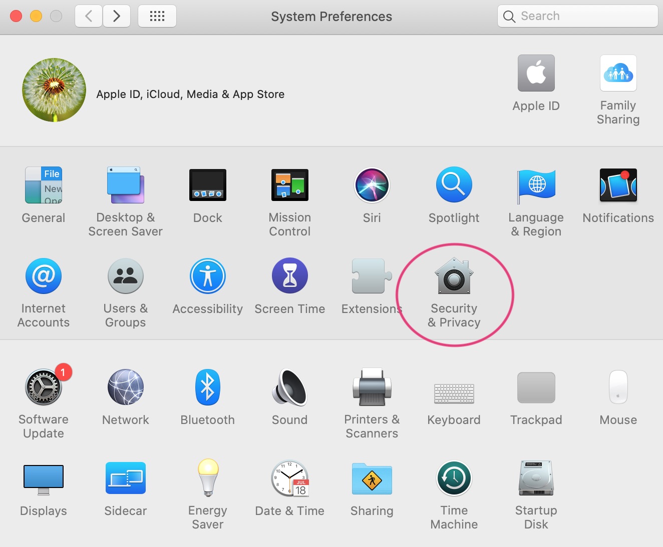 System preferences screenshot with system & privacy circled